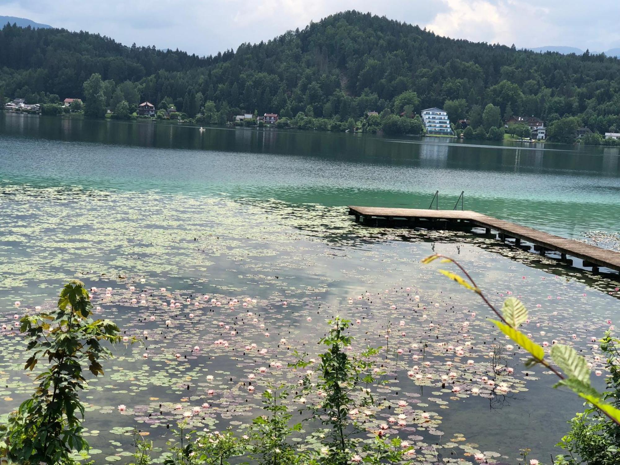 Hotel Alex Sankt Kanzian am Klopeiner See Eksteriør bilde